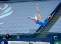 Bakıda idman gimnastikası üzrə Dünya Kuboku yarışlarının ikinci günü start götürüb. Azərbaycan, 20 fevral, 2016